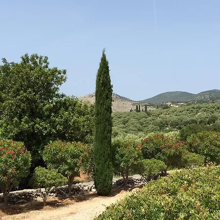 The Olive Mill Estate